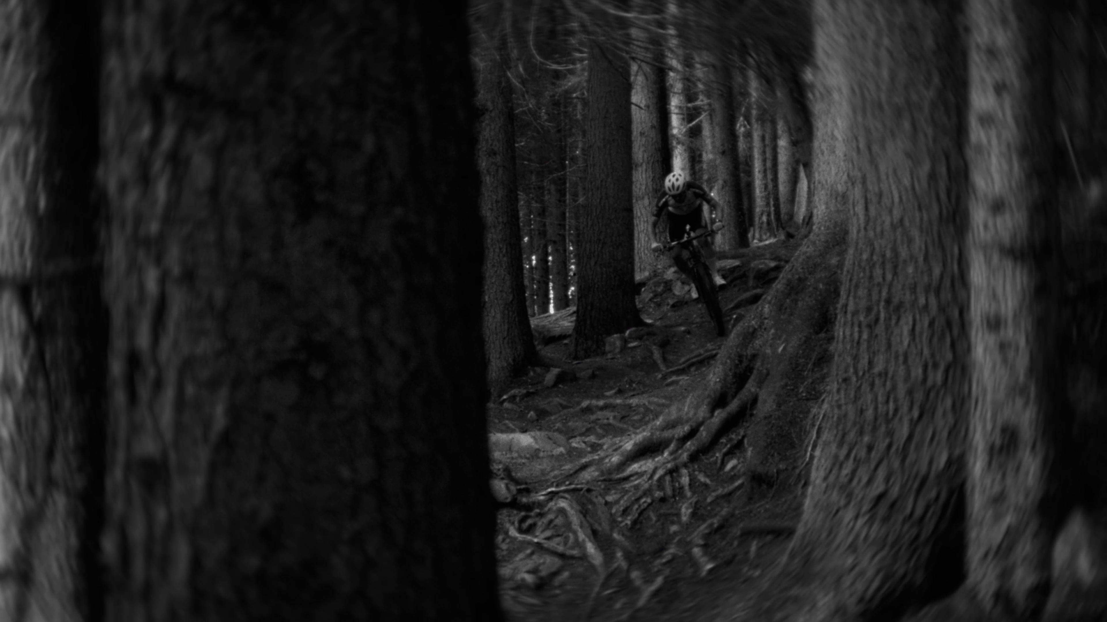 Giant — still 02